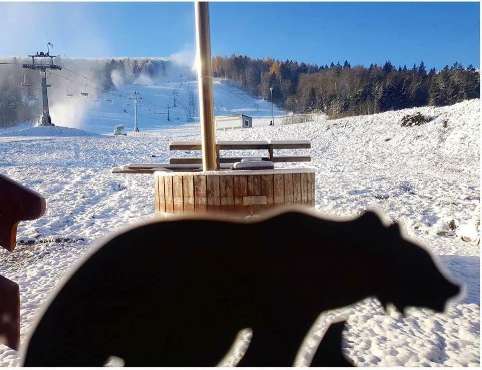 Pensjonat Laworta Ski Устрики-Долішні Екстер'єр фото